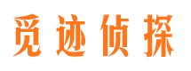 尖山市侦探调查公司